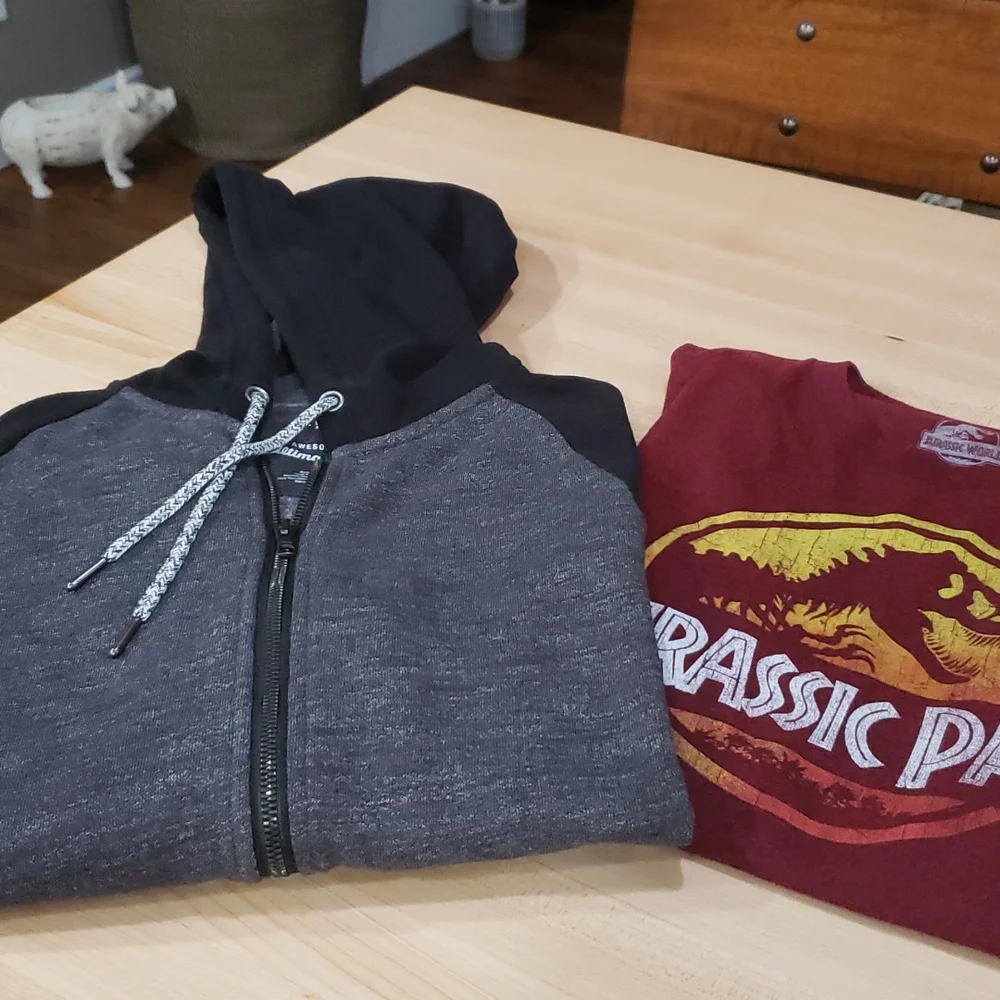 Sweatshirt and tee shirt
